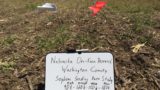 seeding rate