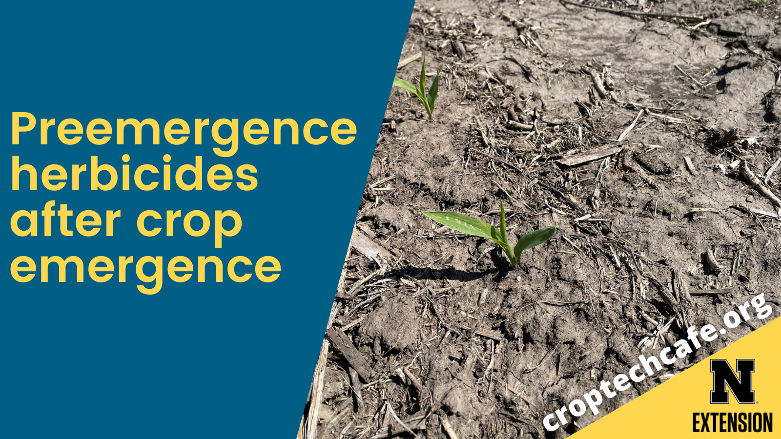 Preemergence Herbicides After Crop Emergence